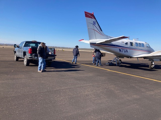 Loading baits on aircraft