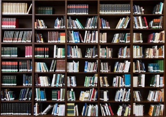 Shelves of books.