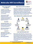 Molecular HIV Surveillance