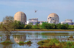 South Texas Project Electric Generating Station